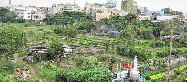 Xung đột với chính quyền tại Vườn Rau Lộc Hưng, Saigon