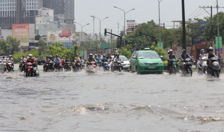 Tin Tức và Bình Luận