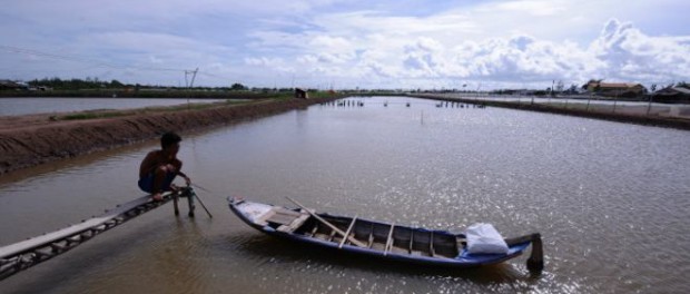 Sông Mekong, sự trường tồn dân tộc và ICC