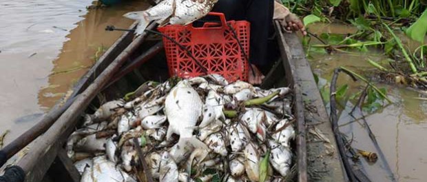 Tin Việt Nam – 26/03/2017